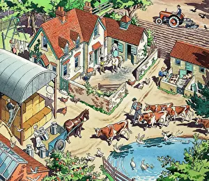 Pigsty: Farmhouse