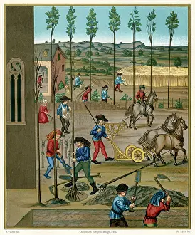Plowing: FARMING 15TH CENTURY