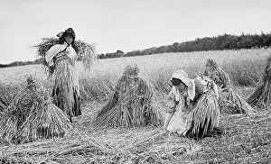 Haystacks: Farming - Gathering the hay Victorian period