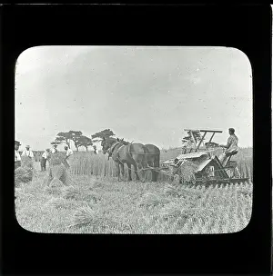 Haymaking: Farming: Haymaking - Harvesting: Horse-Drawn Bailing Machine