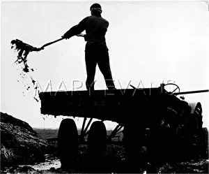 Manure: FARMING/MANURE PILE