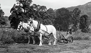 Mowing: Farming - Mowing machine Victorian period