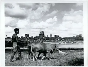 Siem: Farming Near Angkor Wat