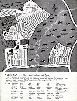 Arable: Farming pre-war in 1944 - layout of fields and crops (2/2)
