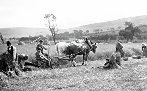 Reaping: Farming (reaping)