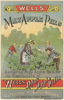Roots: Farming Roots