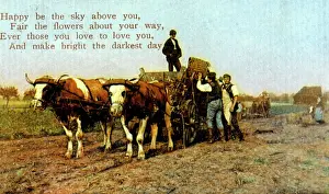 Retrographics Limited: Farming scene on a birthday card