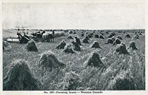 Stook: Farming Scene in Western Canada