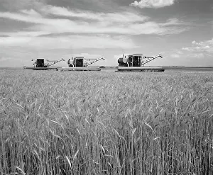 Hel001: Farming Series of Three Self Propelled Grain Harvesters