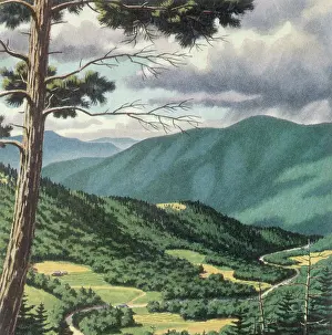 Nestled: Farms in the Foothills