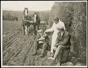 Repast: FARMWORKERS BREAK