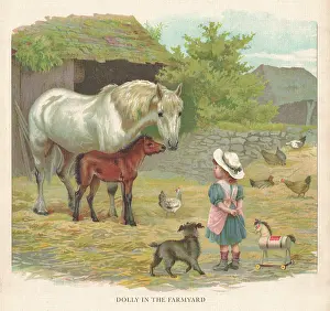 Peter & Dawn Cope Collection: In the Farmyard