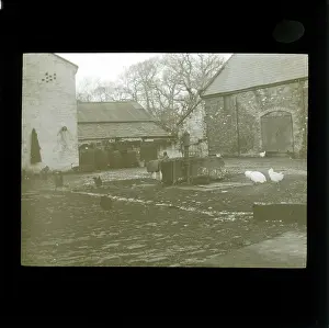 Farmyard: Farmyard, Burton, Cheshire