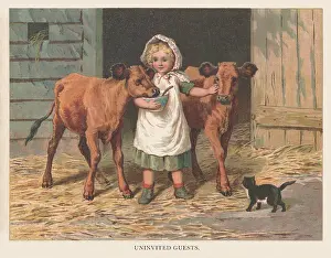 Peter & Dawn Cope Collection: Farmyard Scene