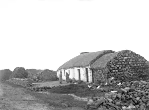 Hens: A farmyard scene with rope thatched buildings