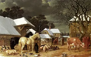 Barnyard: Farmyard in Winter