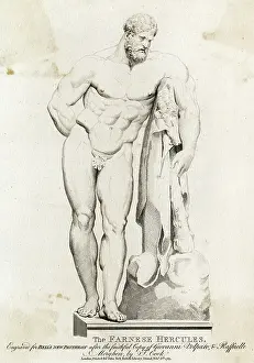 Farnese: FARNESE HERCULES