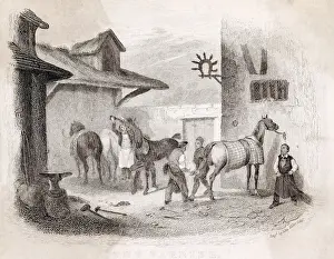 Farrier: The farrier