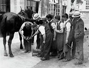 Farrier: Farrier school
