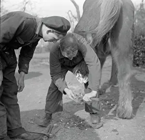 Shod: A Farrier at work, Worcestershire