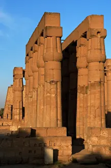 Corridor: Fasciculatesd columns with papyrus capitals of hypostyle. Lu