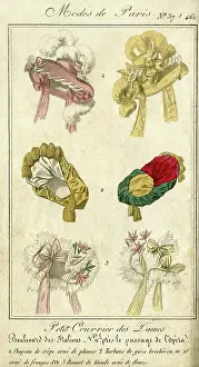 Bows: FASHION HATS OF 1827