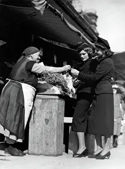 Peddlers: Fashion photography