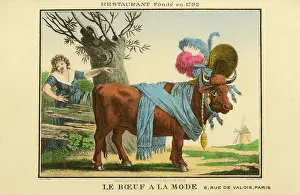 Scarfs: The fashionable bull