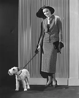 Everett Collection (old Visuals): Fashionable dog walker