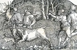 Jerks: two fast and two slow runners with deer, rabbit, donkey and