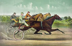 Trotter: Fast trotting to fast wheels