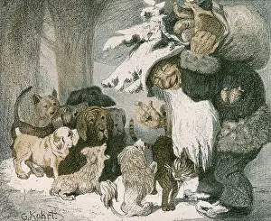 Depictions: Father Christmas for animals