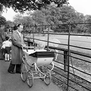 Golders: Father with pram