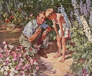 Roots: Father and Son examine Flower Roots