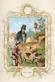 Pigsty: Father and son with pigs