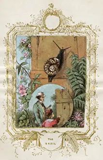 Haste: Father and son studying a snail