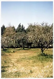 Fatima: FATIMA GROVE 1986