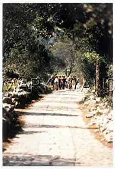 Fatima: FATIMA PILGRIMS 1986