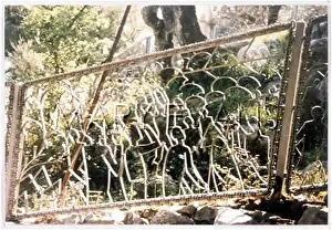 Outlines: FATIMA SOLAR PHENOMENON