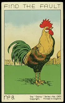 Poultry: Find the Fault card No. 8