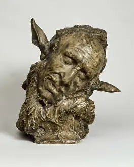Faun: Faun's face