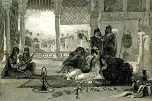 Harem: The Favourite of the Harem