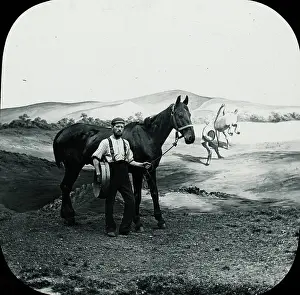 Quotes: Favourite Sayings - The horse with a halter