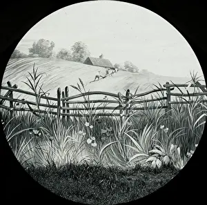 Quotes: Favourite Sayings - No plough, many weeds