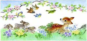 Tits: Fawn, birds and rabbits