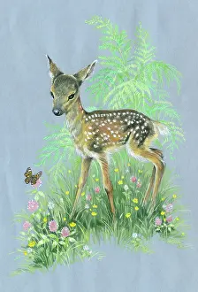 Buttercups: Fawn and butterfly with clover, buttercups etc