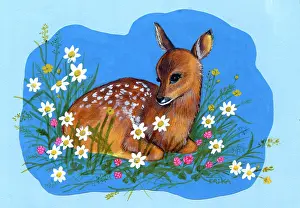 Buttercups: Fawn with clover, daisies and buttercups