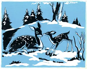 Fawn and Doe in the Snow