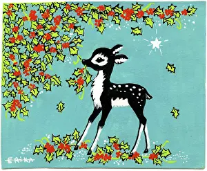 Fawn: Fawn and holly bush
