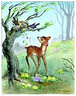 Blackbirds: Fawn looking at a blackbirds nest in a tree